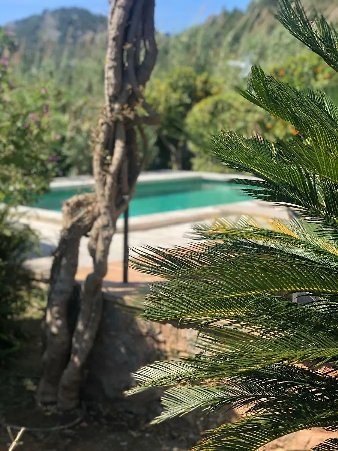 Ses Llimoneres Villa Sóller