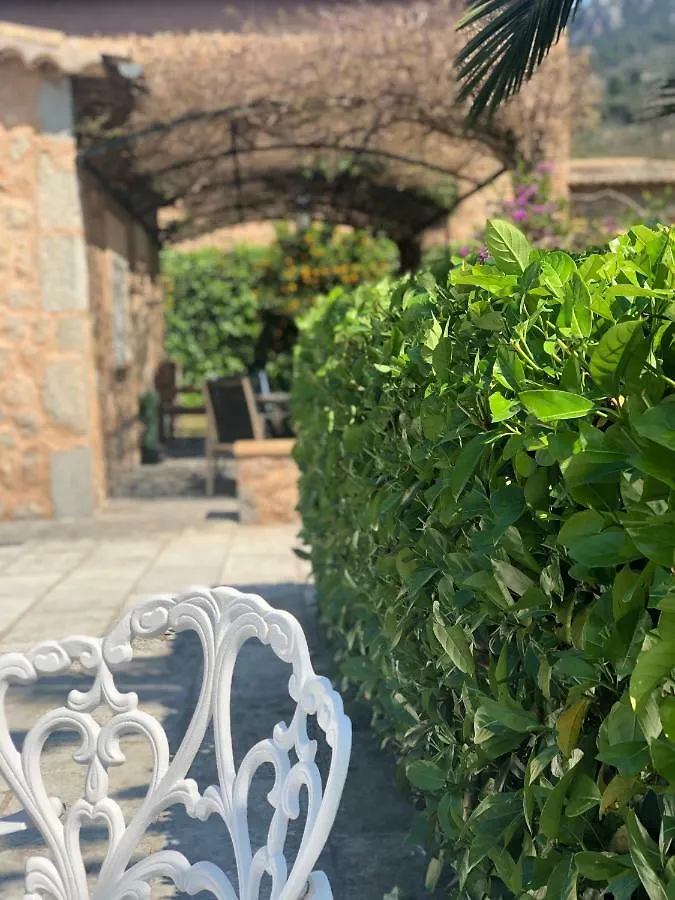 Semesterbostad Ses Llimoneres Villa Sóller